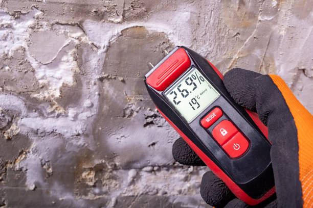 Best Emergency Mold Remediation in Redby, MN