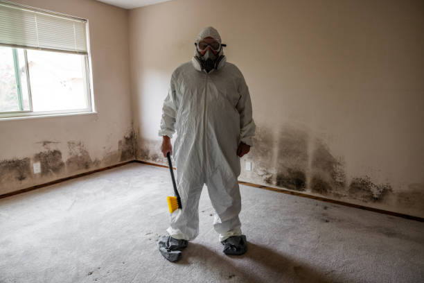 Best Health and Safety Mold Remediation in Redby, MN